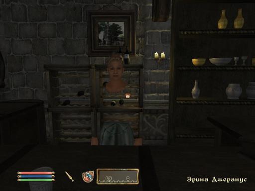 Elder Scrolls IV: Oblivion, The - Дневник имперского гастарбайтера